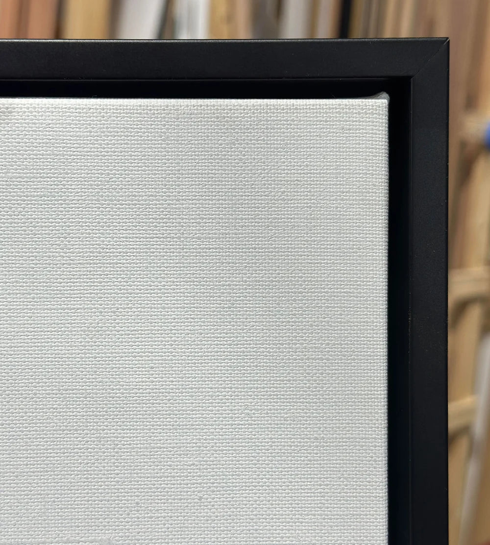 ARTIST CANVAS & FLOAT FRAME COMBO