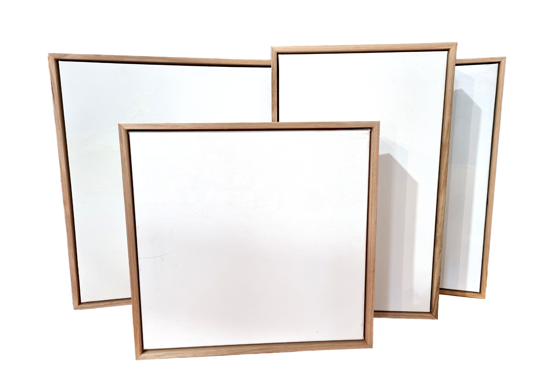 ARTIST CANVAS & FLOAT FRAME COMBO